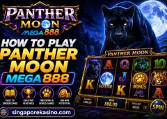 How to Play Panther Moon Mega888